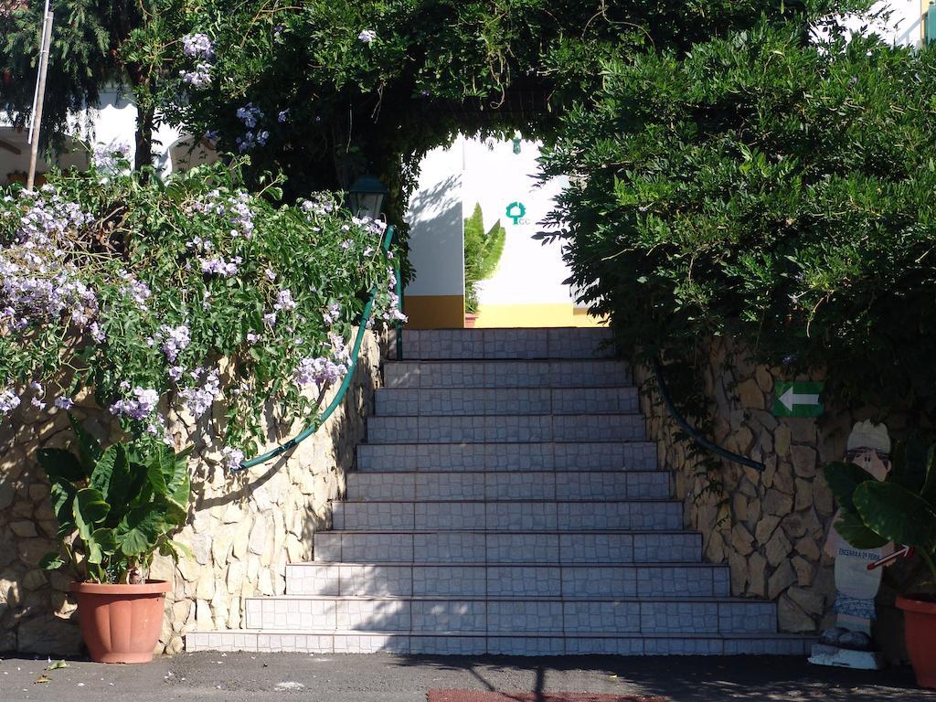 A Deolinda Pensionat Santiago do Cacém Exteriör bild